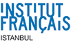 ziem logo