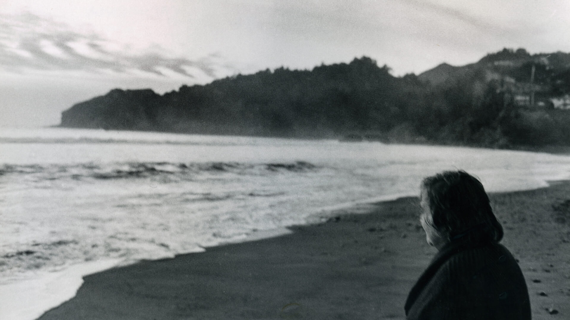 Etel Adnan: Hayatı, Eseri, Şehirleri  <br> Simone Fattal, Jean Frémon, Lamia Joreige ve Serhan Ada