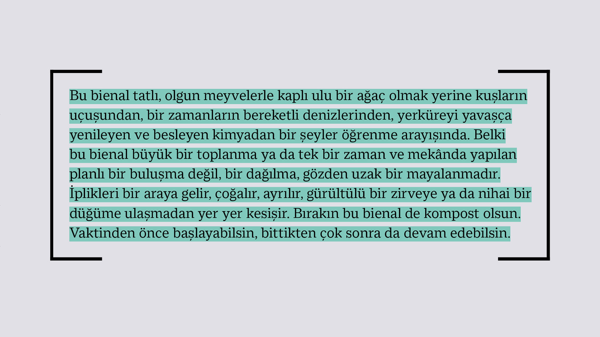 17. İstanbul Bienali