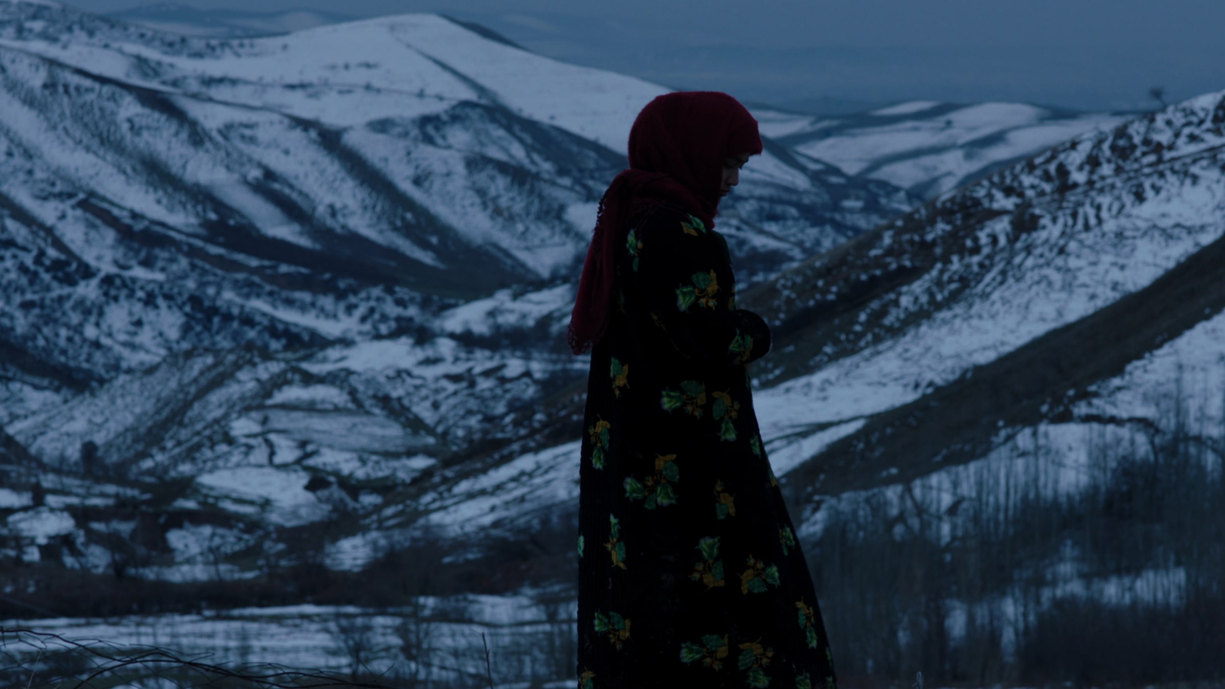 iyi bir komşu<br>36. İstanbul Film Festivali