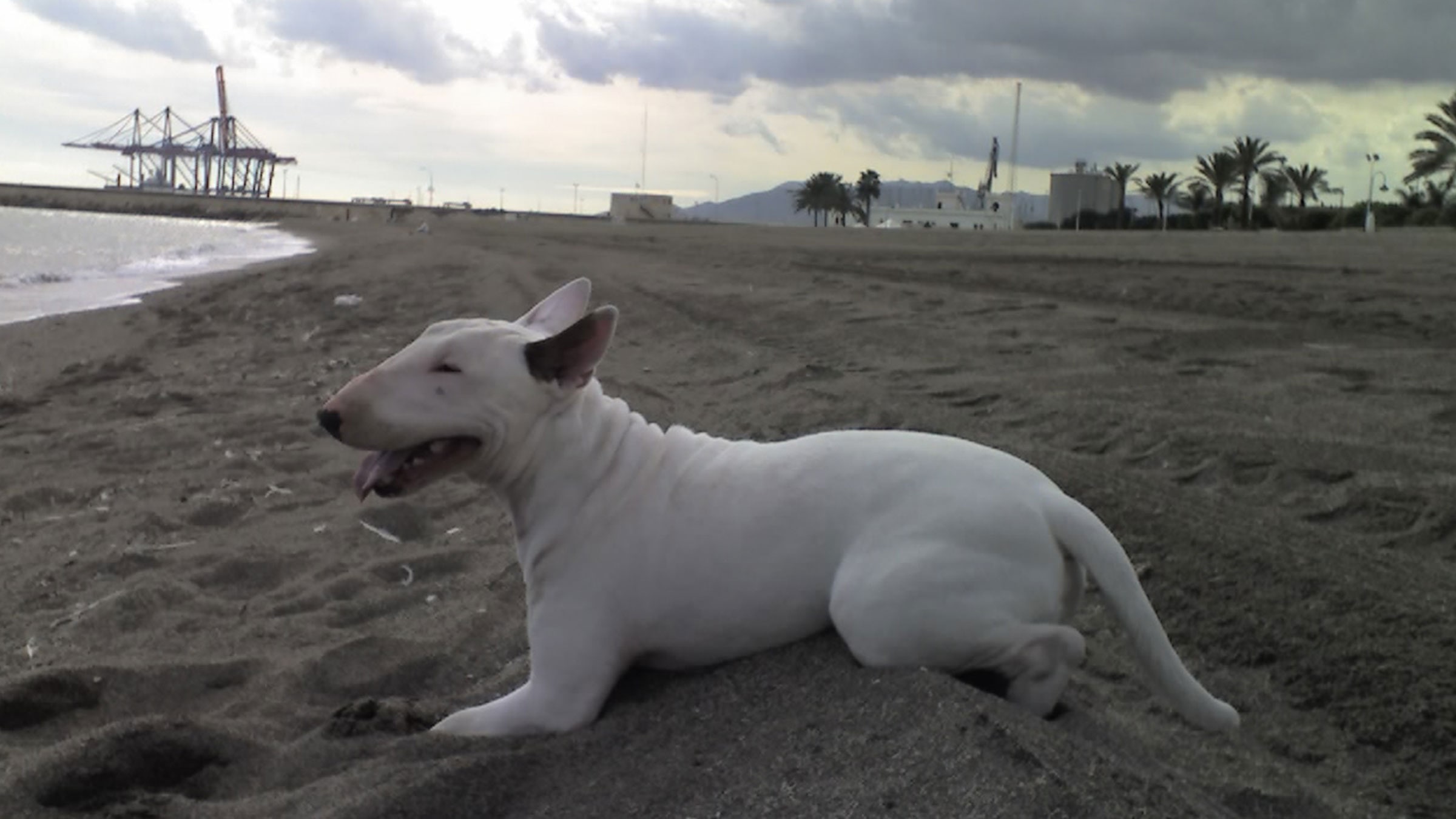 Baxter