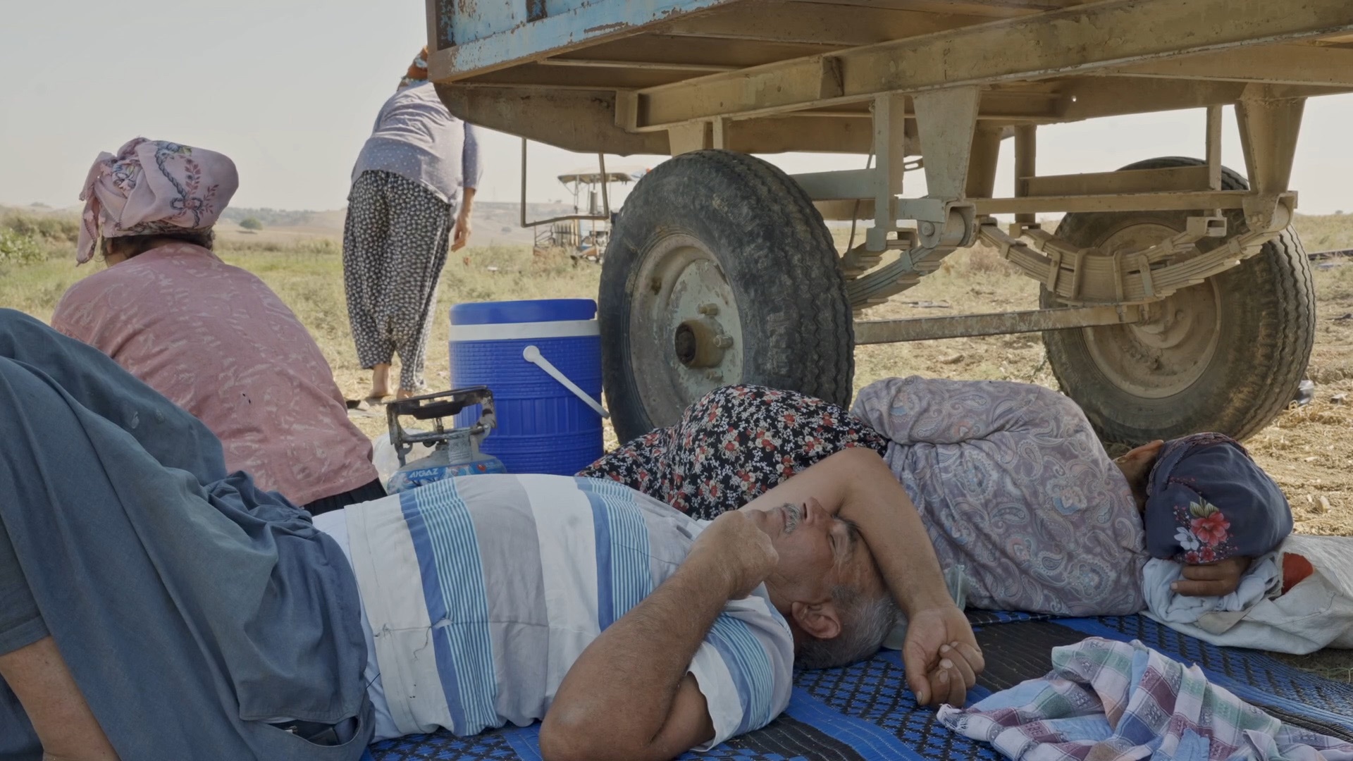 DOCUMENTARIST <br>18. İstanbul Belgesel Günleri