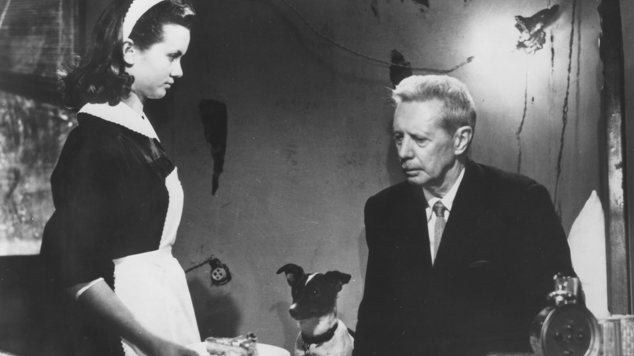 Umberto D