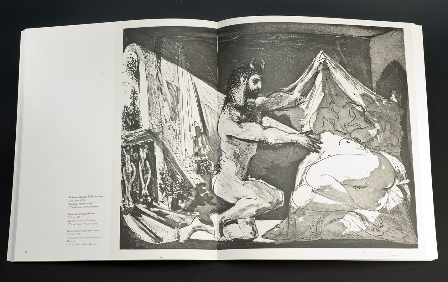 Picasso 