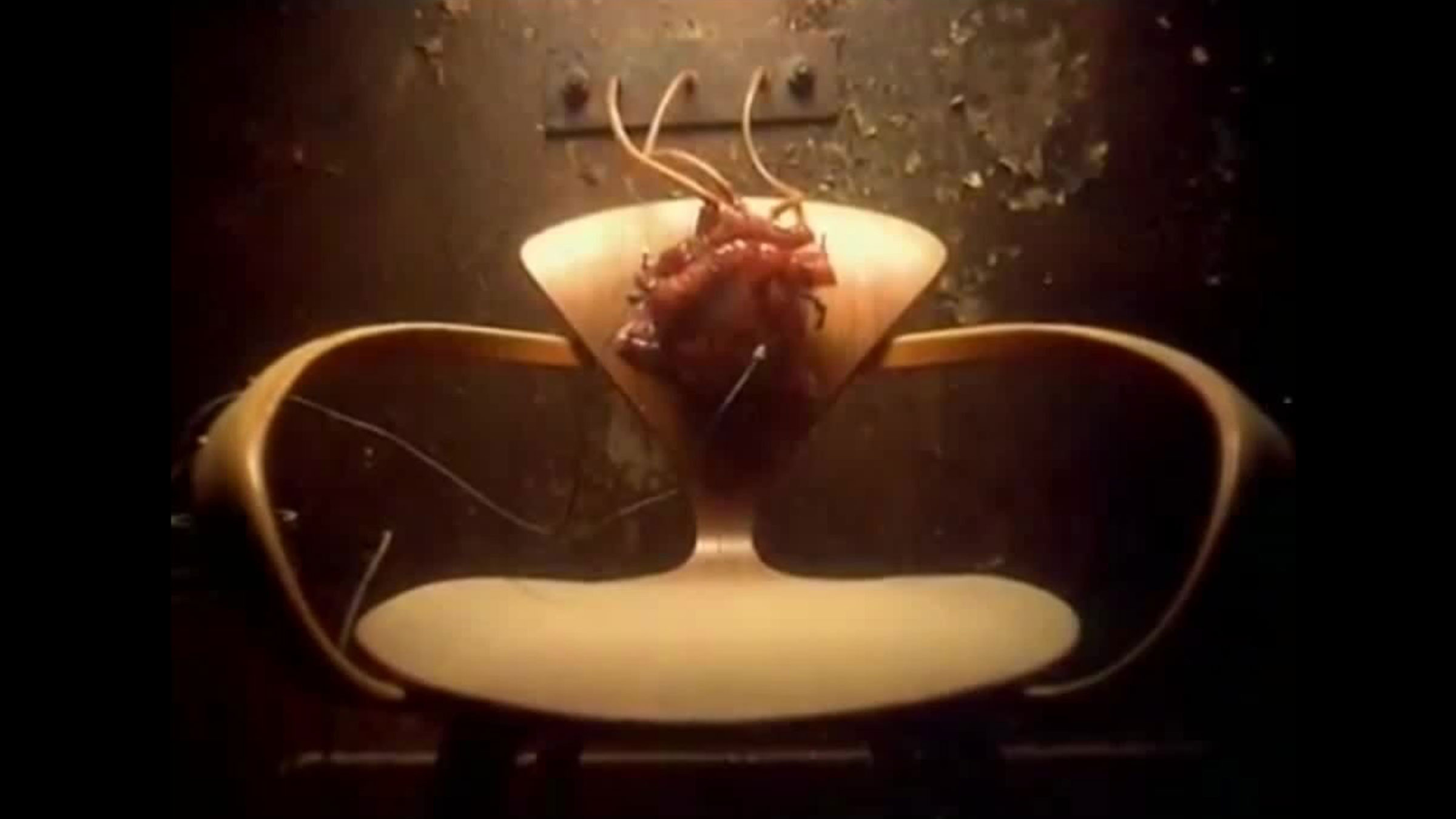 Yönetmenin Müzik Videosu (1991 – 1998) görsel 1
