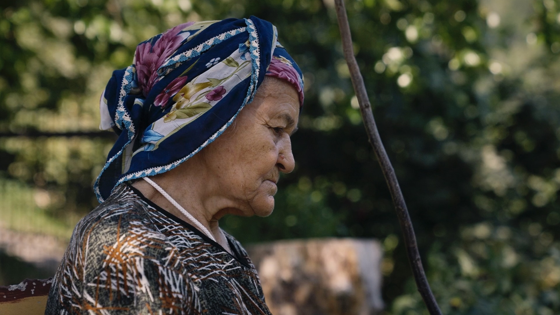 DOCUMENTARIST 17. İstanbul Belgesel Günleri2