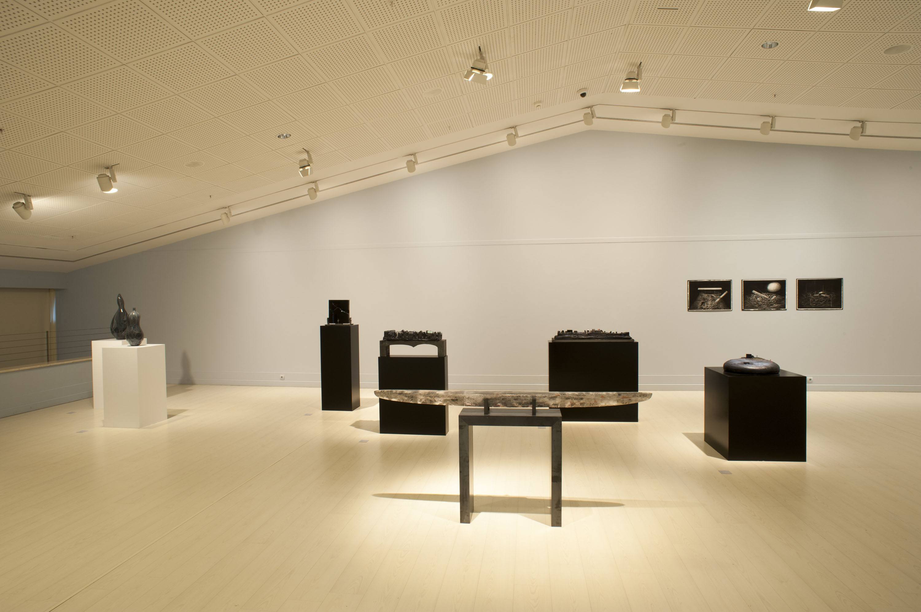 Aurora galeri 0