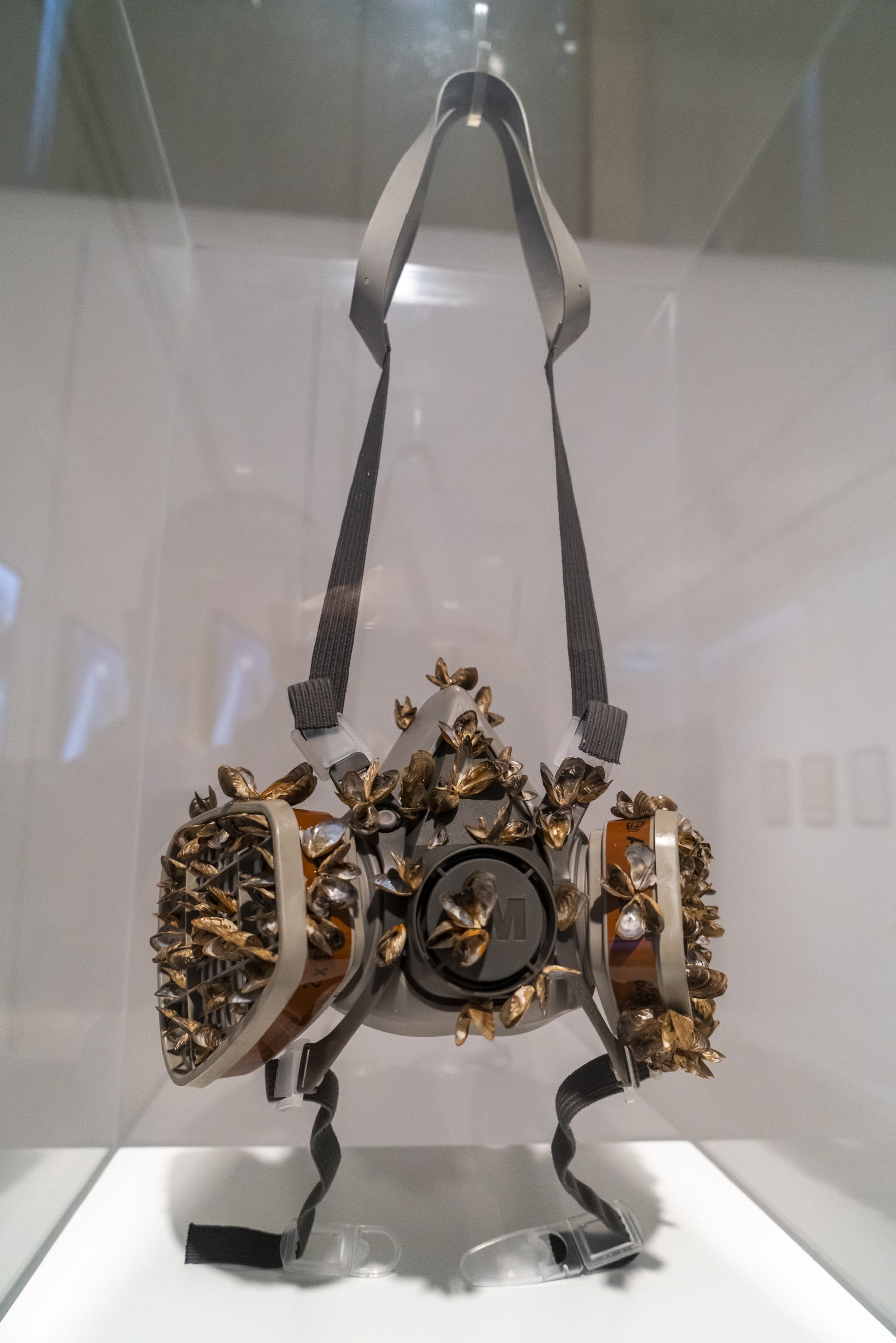 16. İstanbul Bienali galeri 10