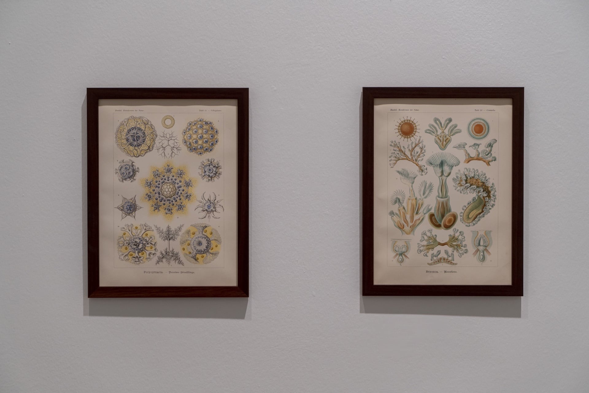 16. İstanbul Bienali galeri 8
