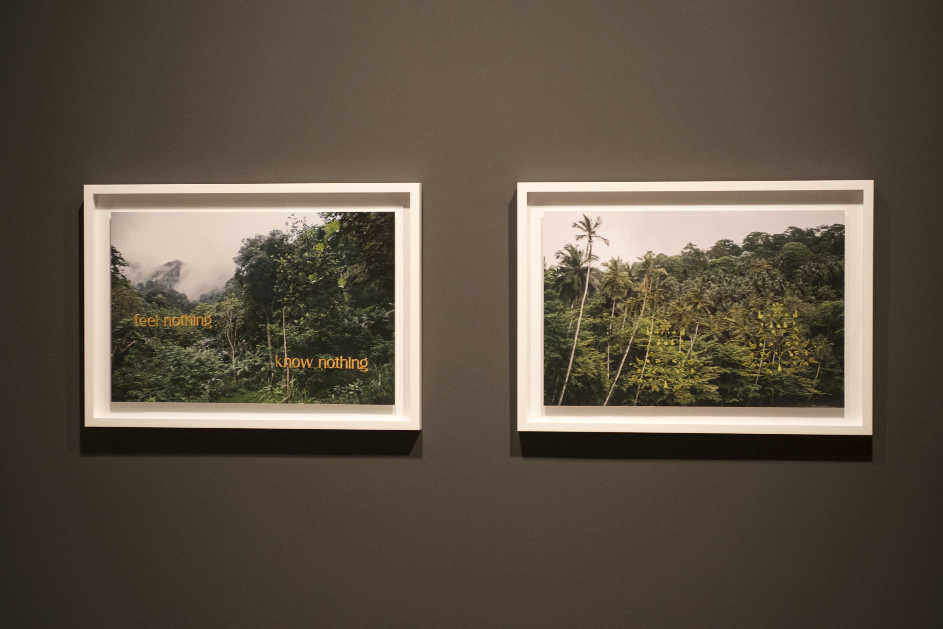 Çiftdüşün <br>Çiftgörü galeri 14