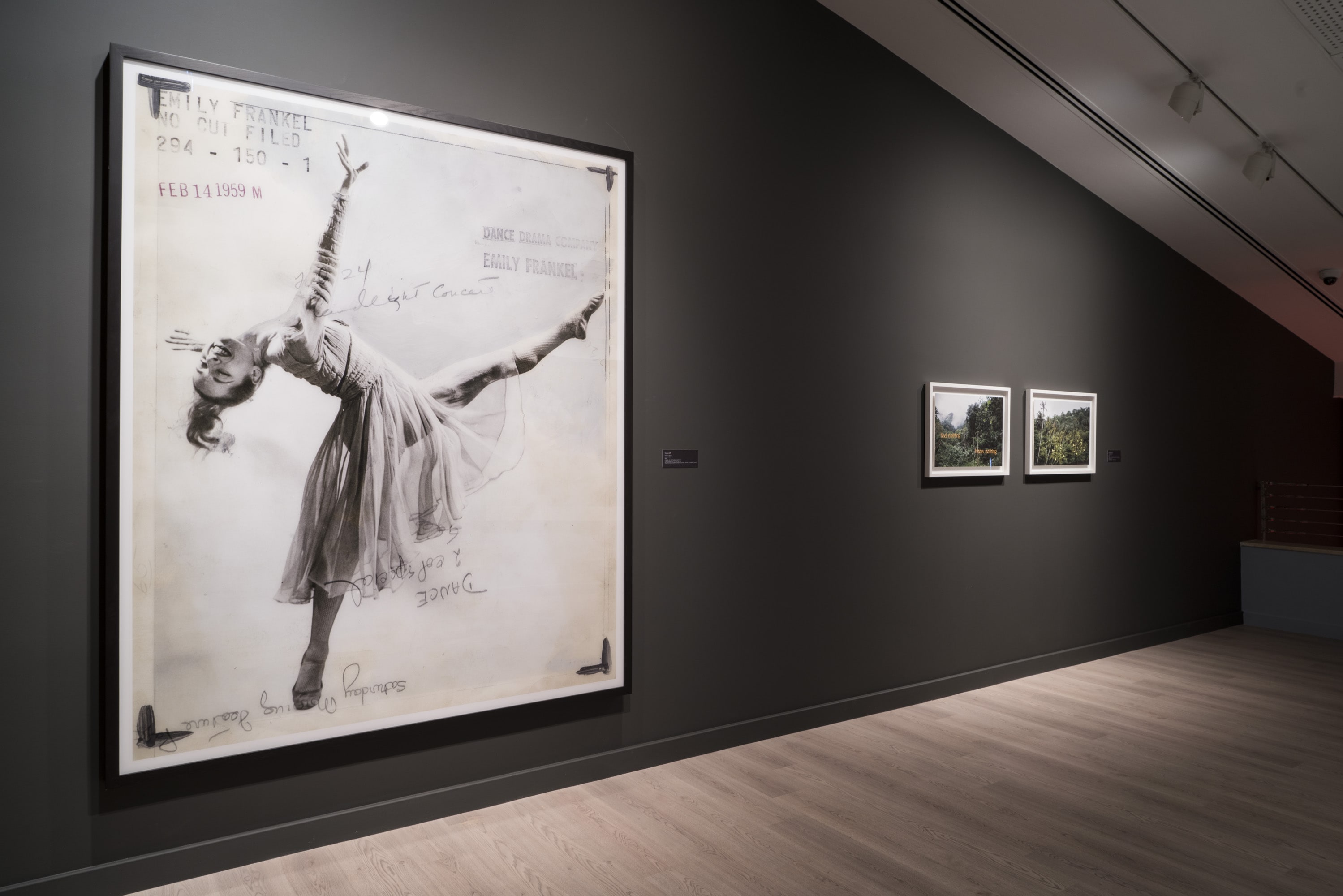 Çiftdüşün <br>Çiftgörü galeri 5