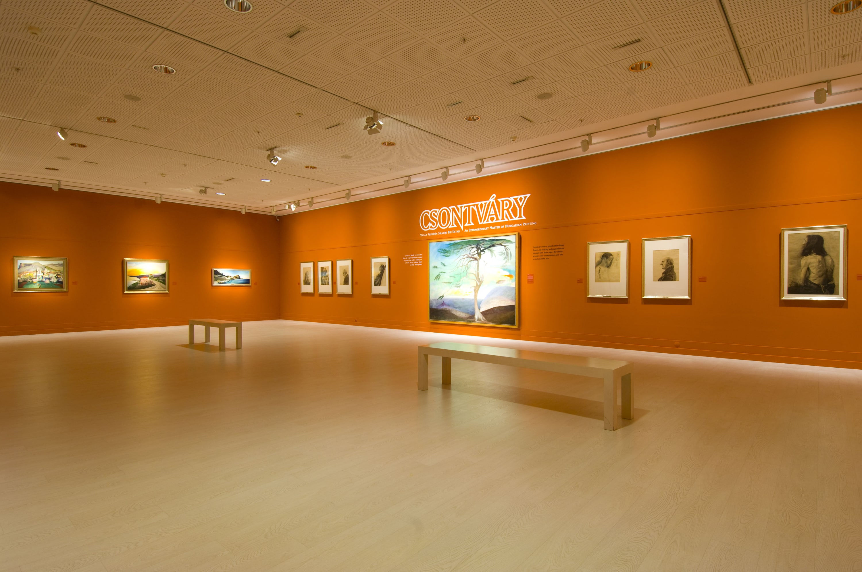 Csontváry galeri 0