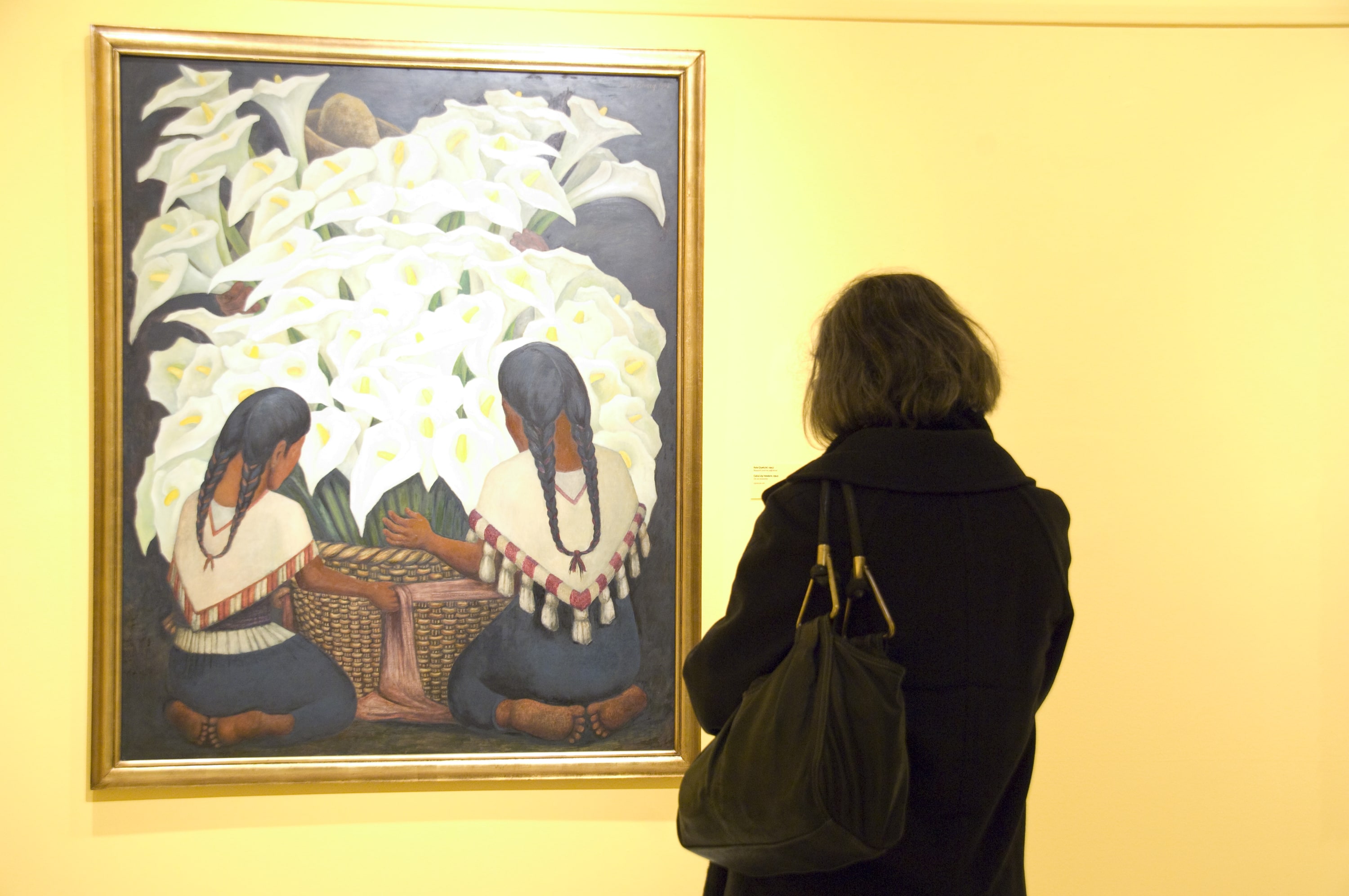 Frida Kahlo ve Diego Rivera galeri 0