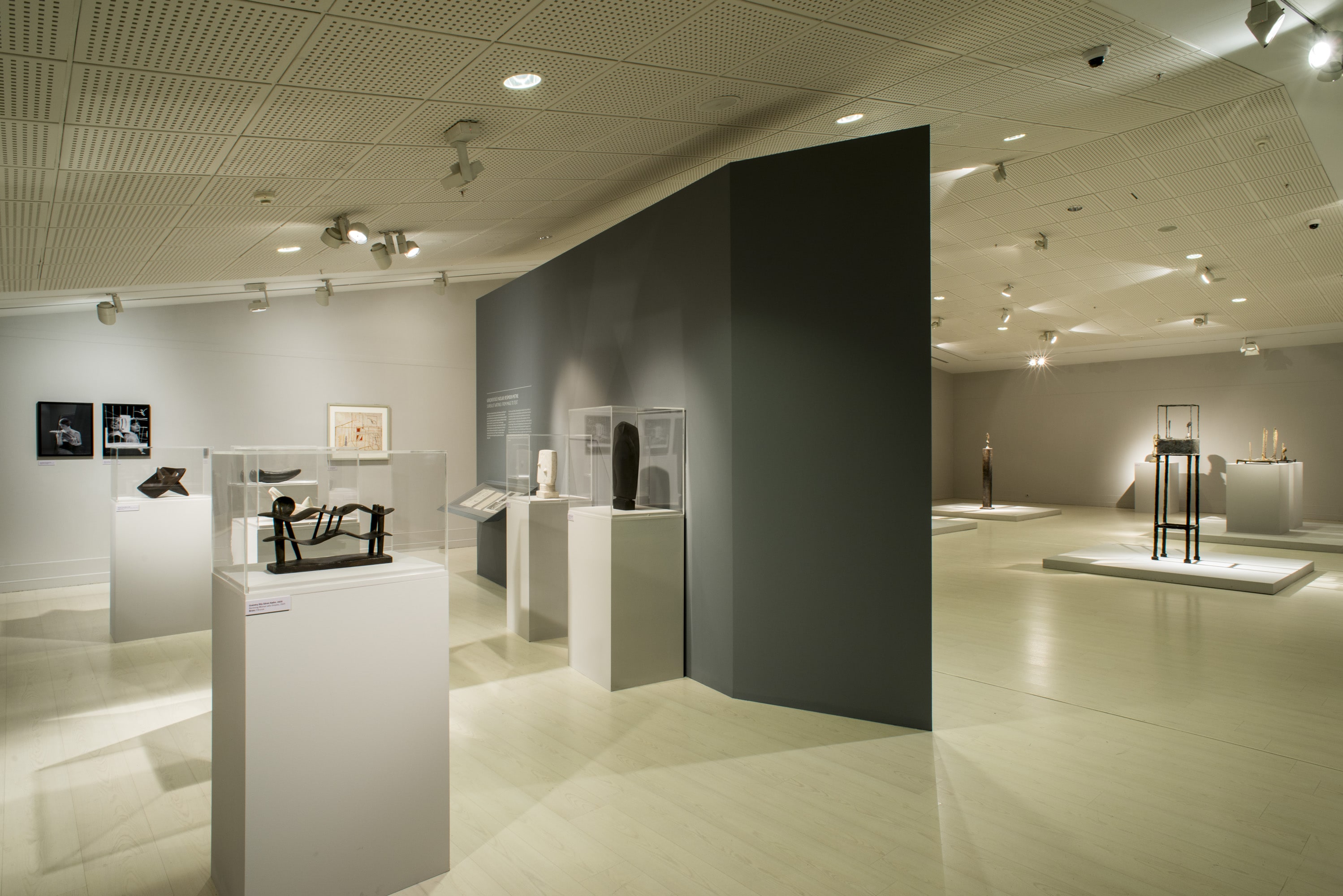 Alberto Giacometti  galeri 8