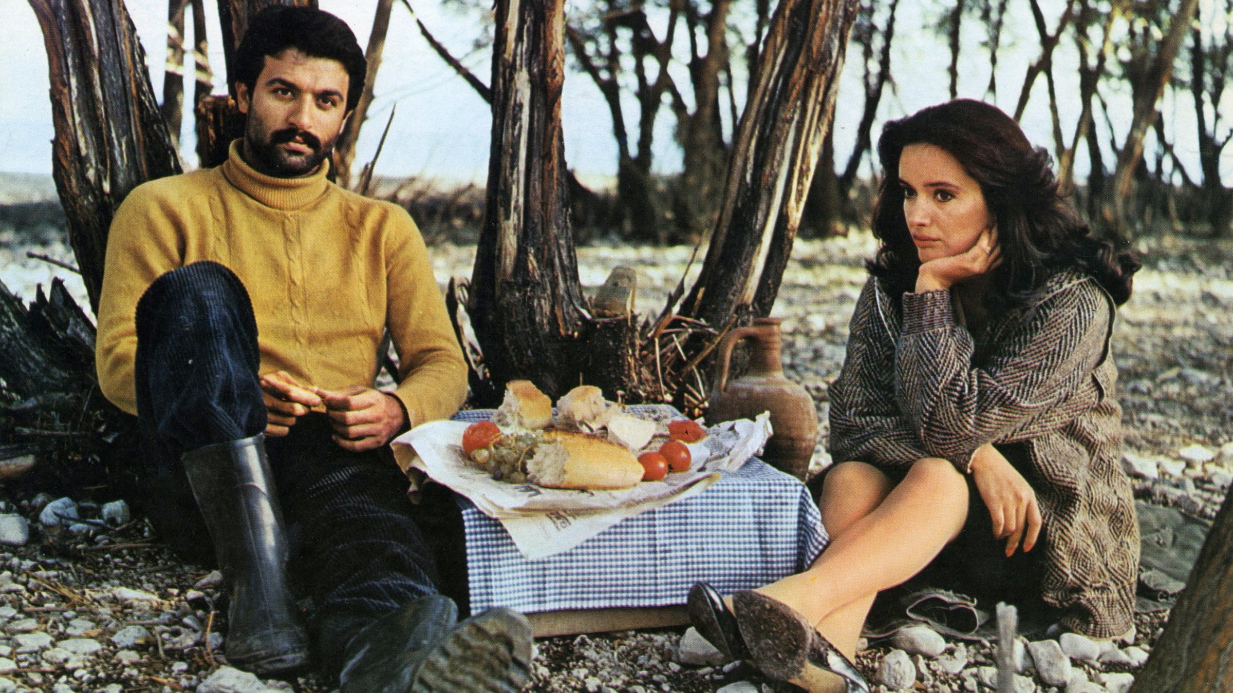Cinemania <br> 37. İstanbul Film Festivali0