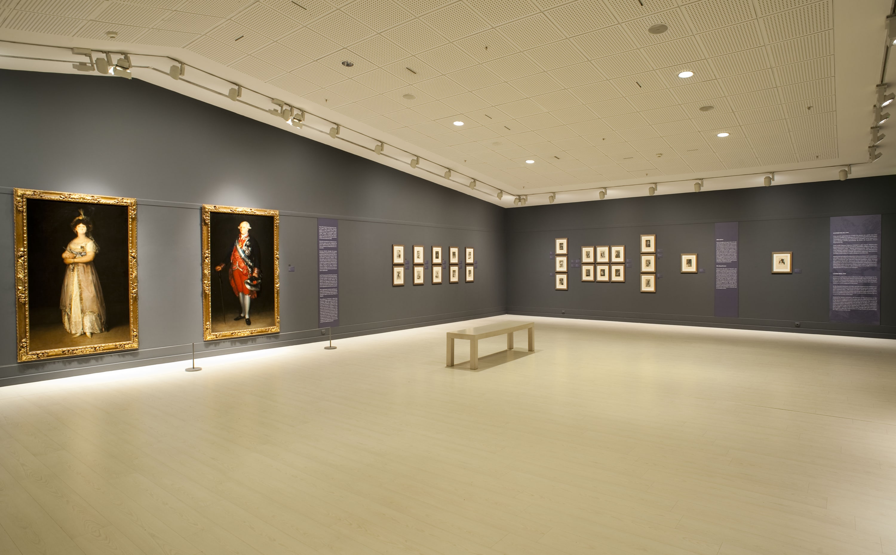 Goya galeri 14
