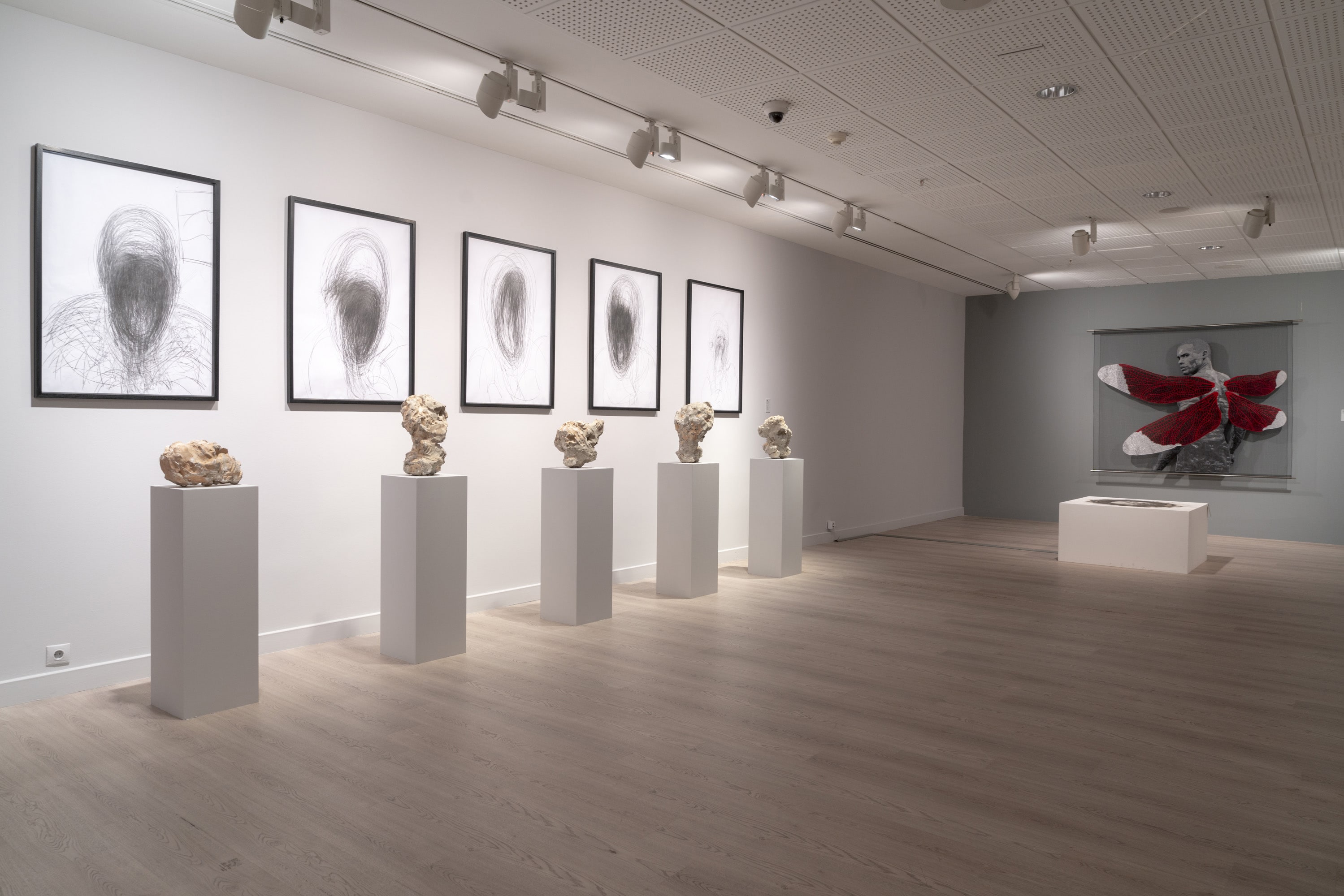 Sarsılan İmge galeri 19