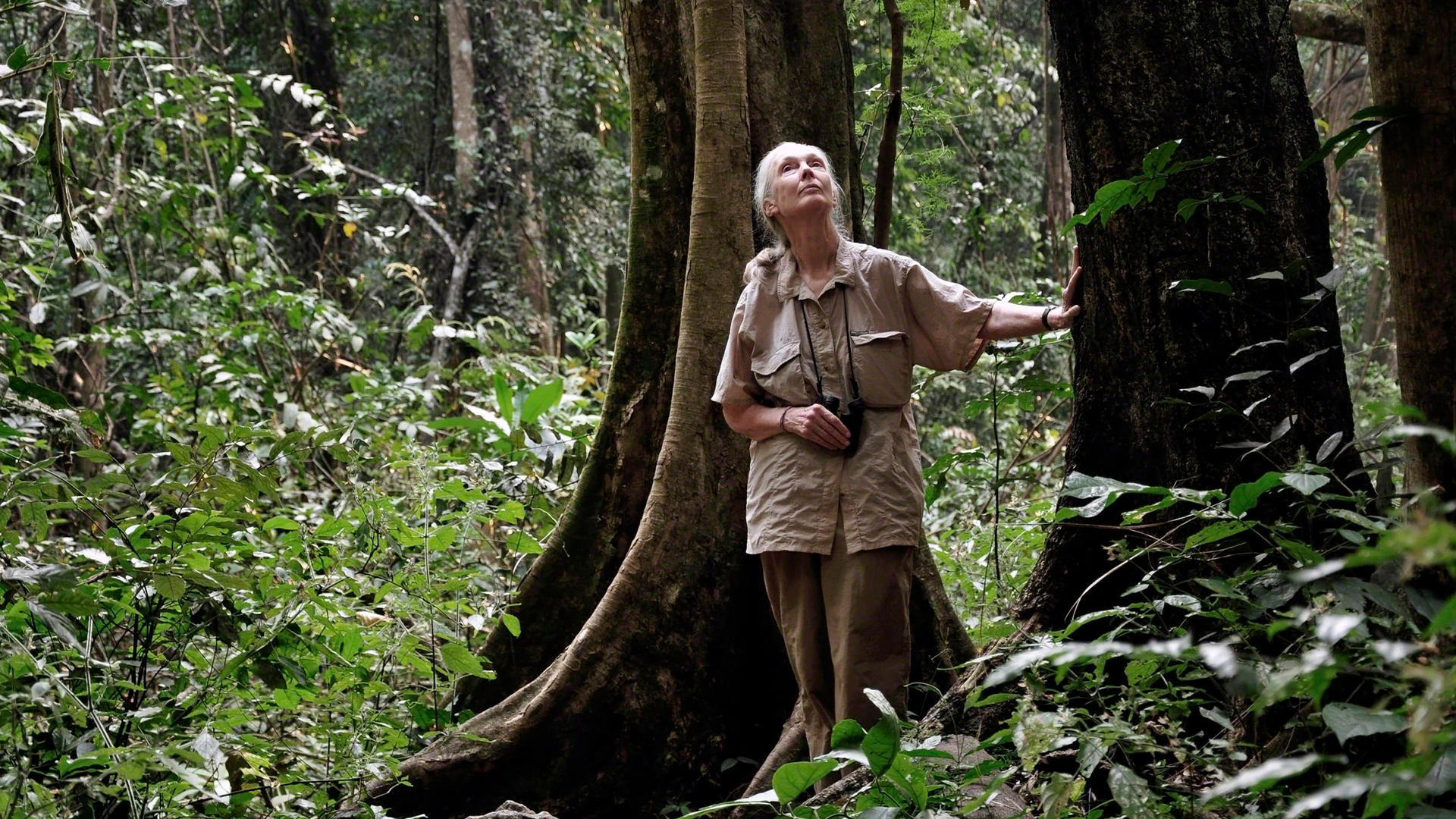 Umuda Dair <br> Jane Goodall slide 0