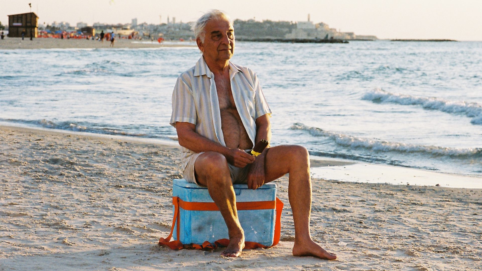 Denizanası görsel 1
