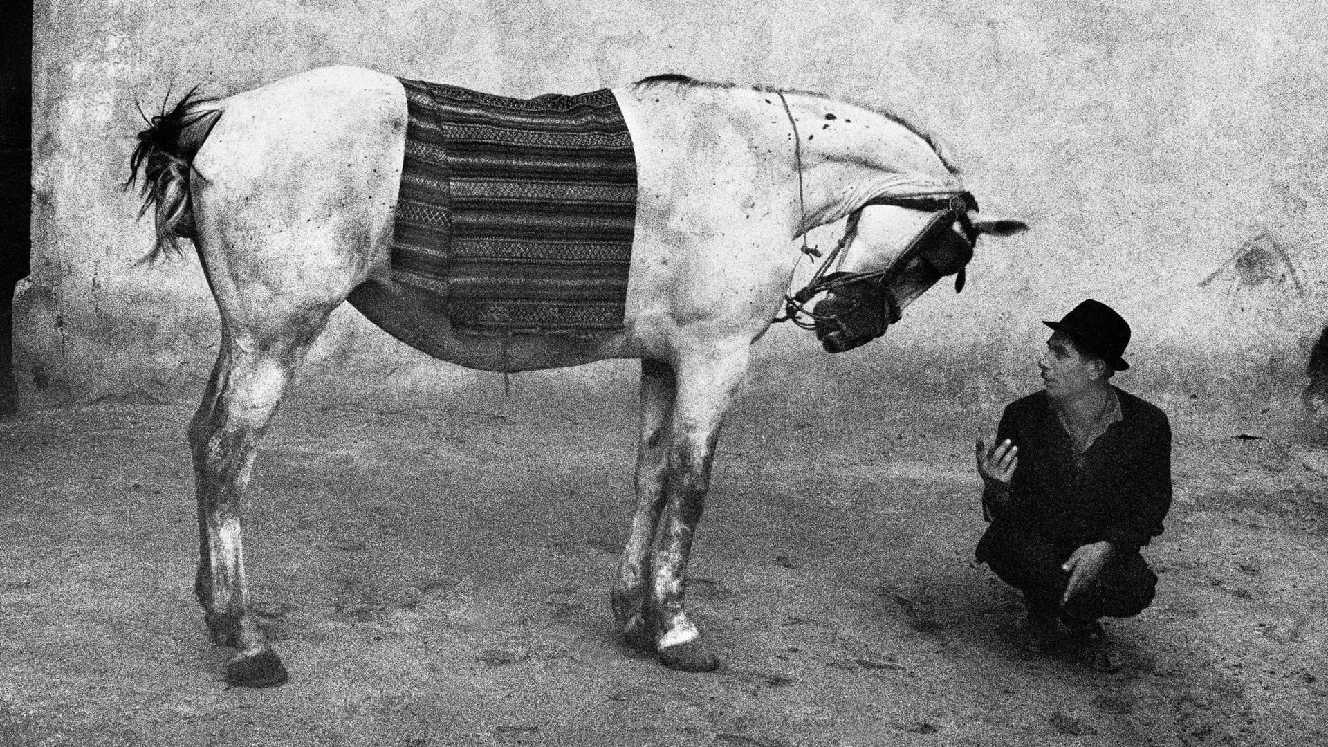 Josef Koudelka görsel 1
