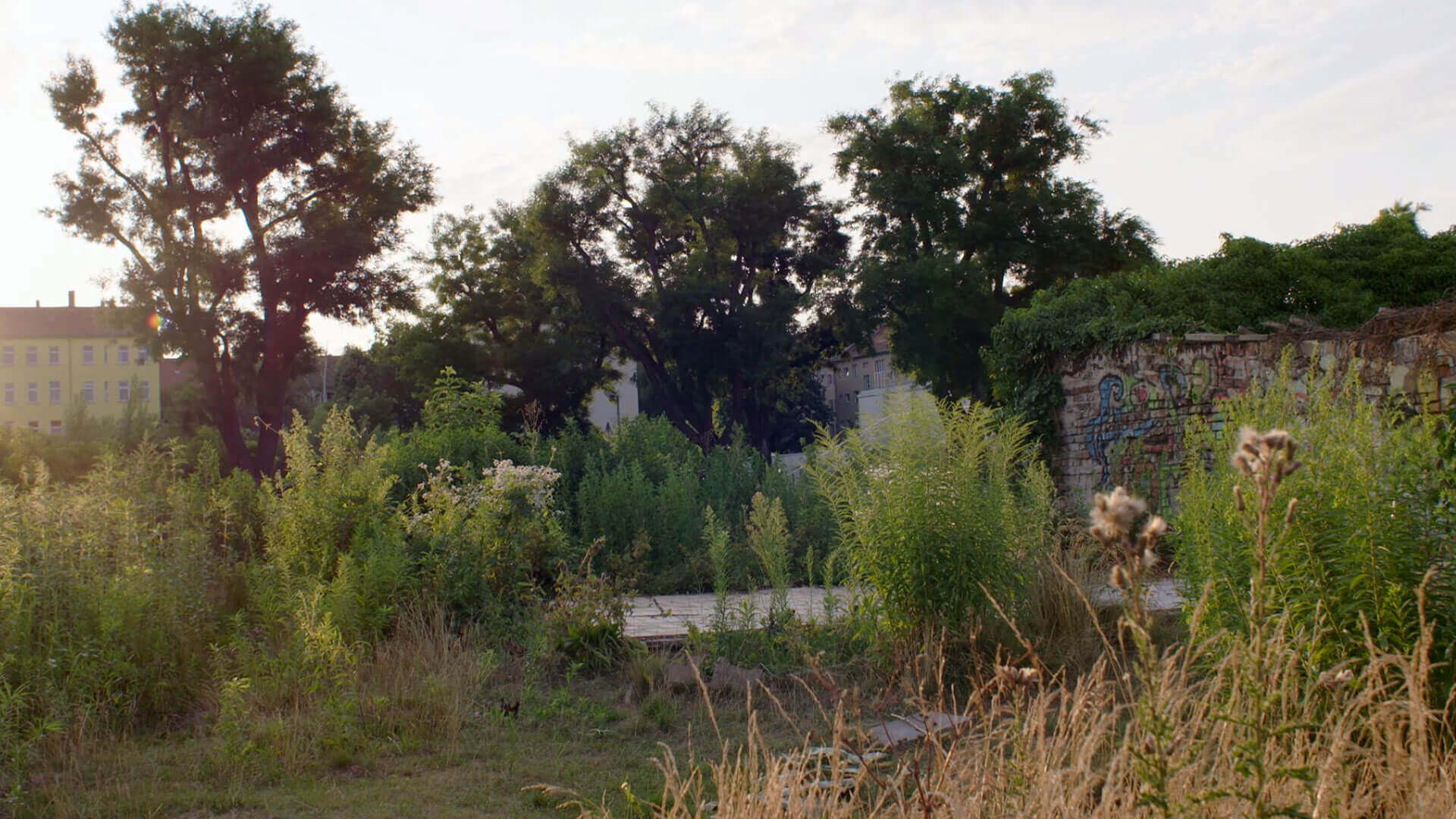 Natura Urbana | Berlin'in Boş Arazileri1