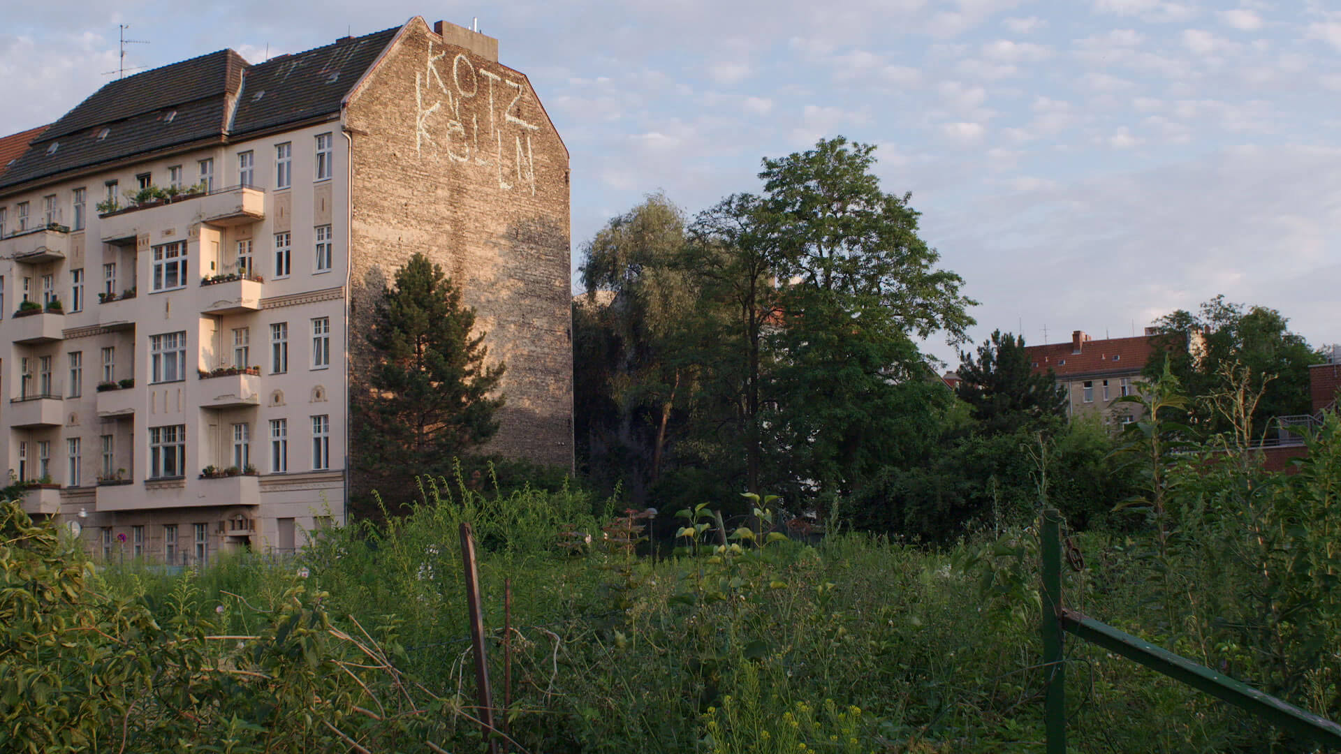 Natura Urbana | Berlin'in Boş Arazileri3