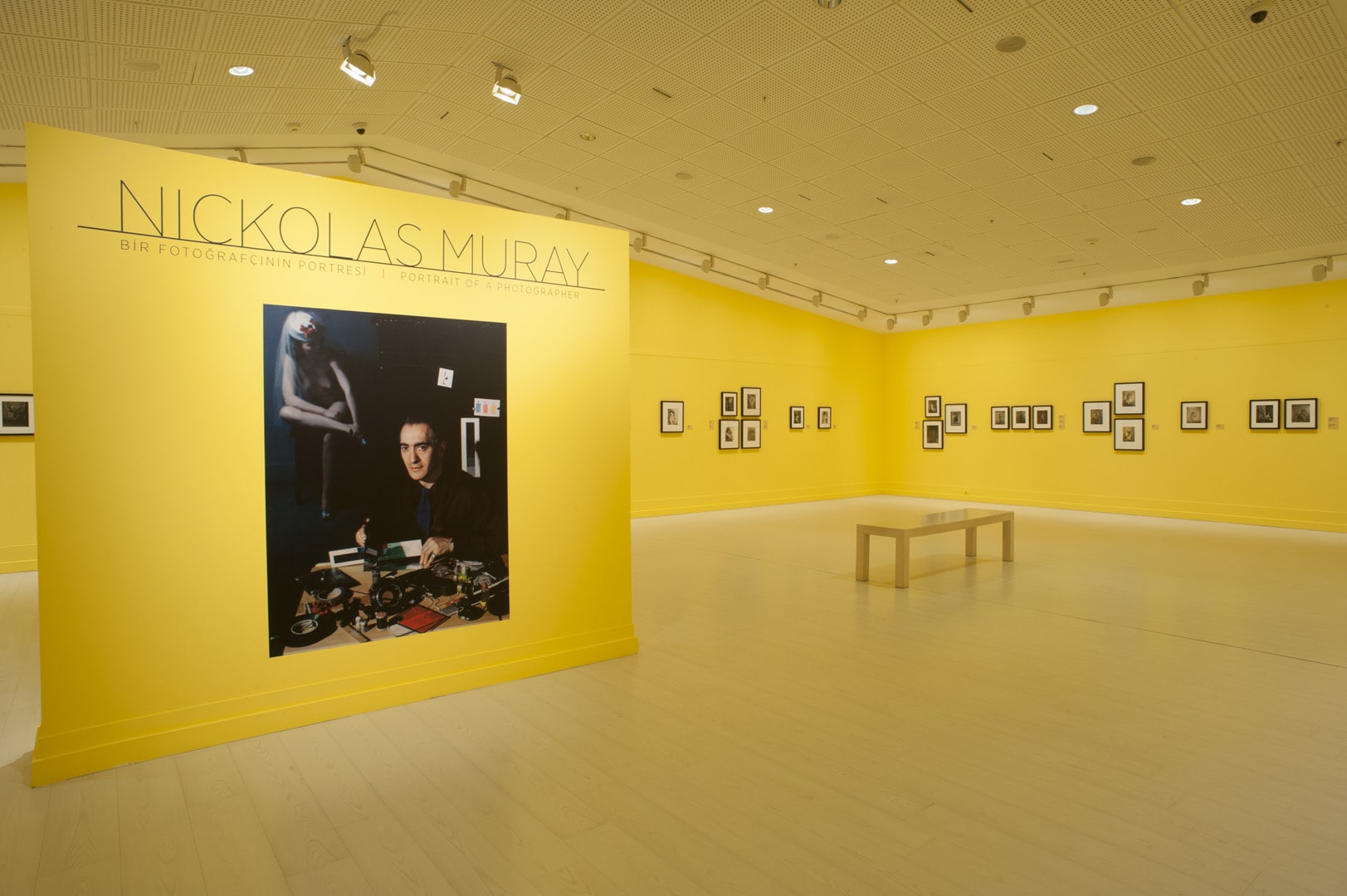 Nickolas Muray galeri 0