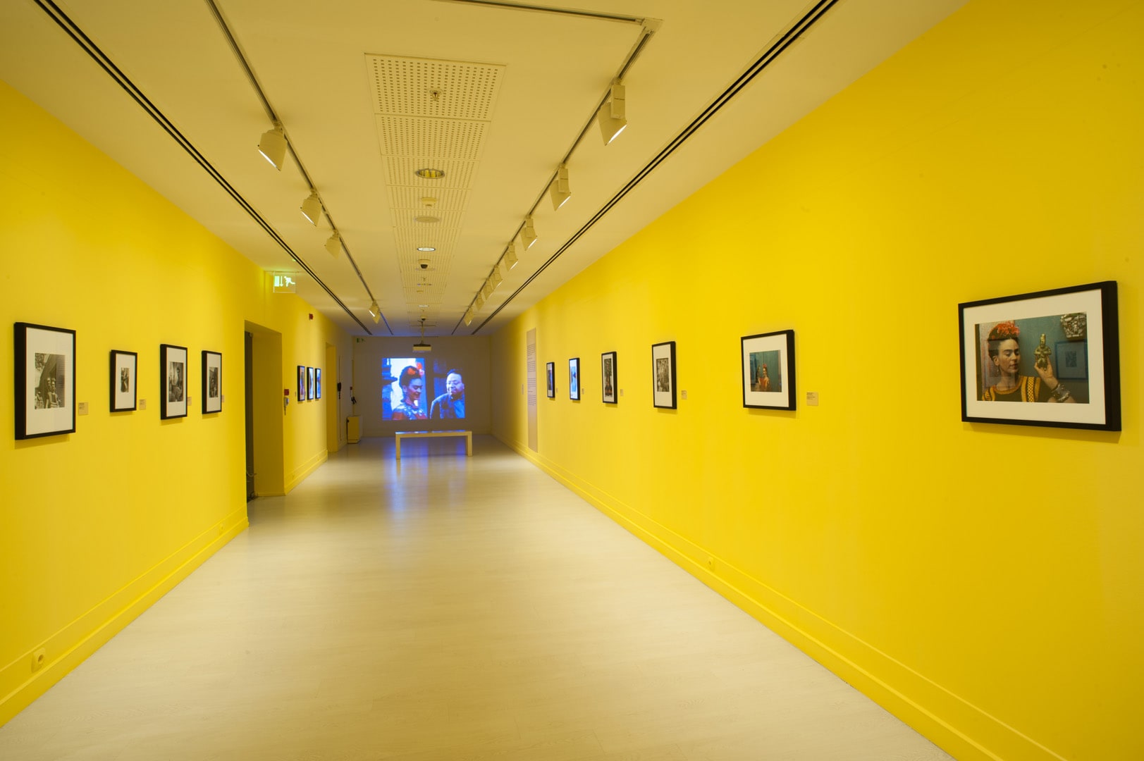 Nickolas Muray galeri 7
