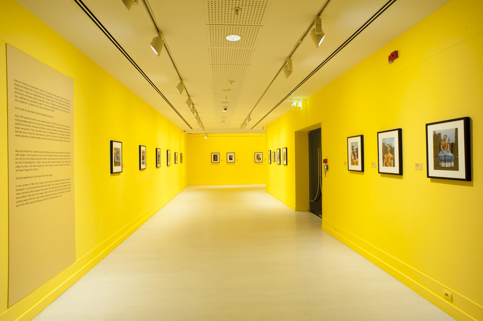 Nickolas Muray galeri 8