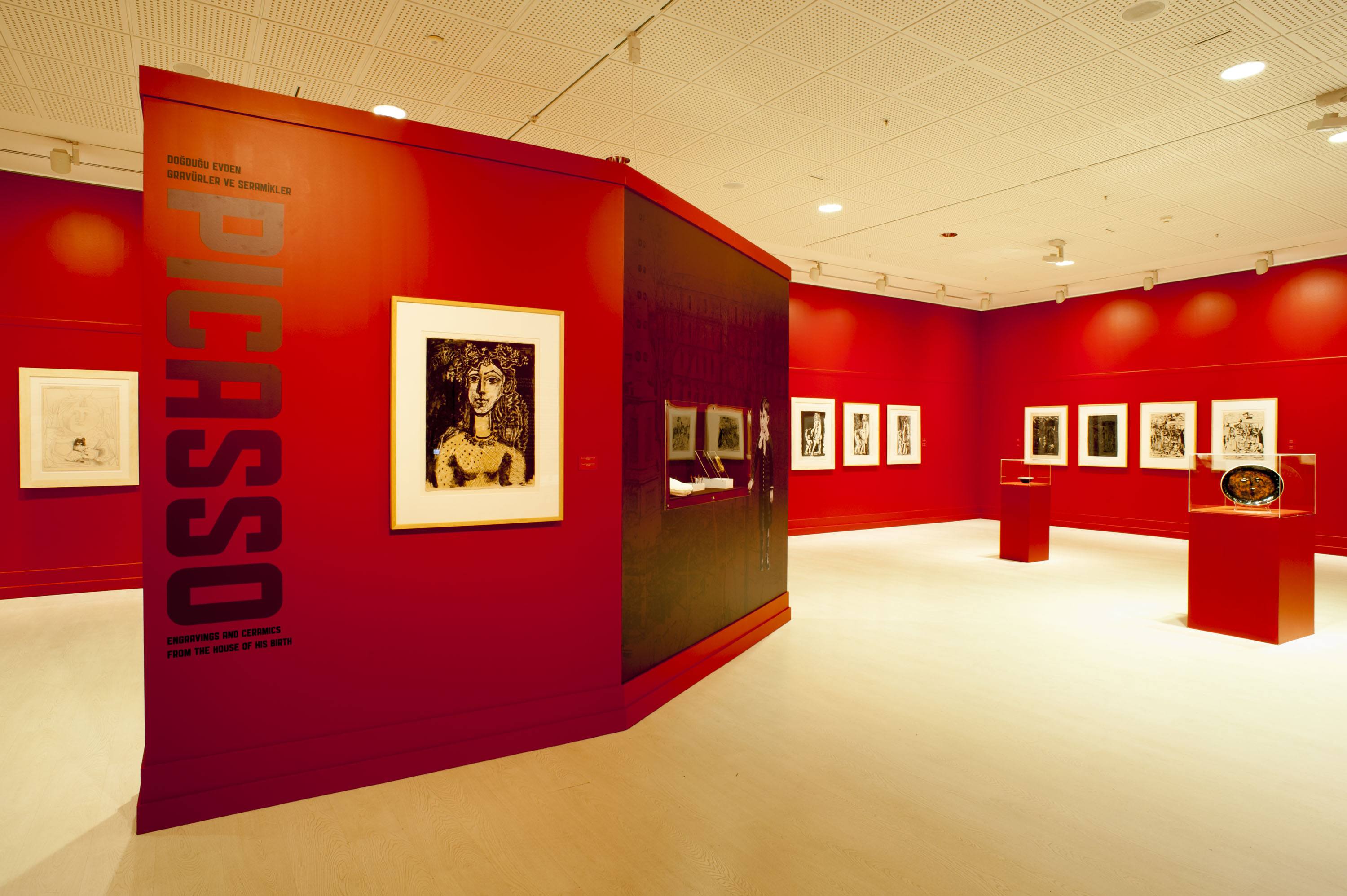 Picasso  galeri 0