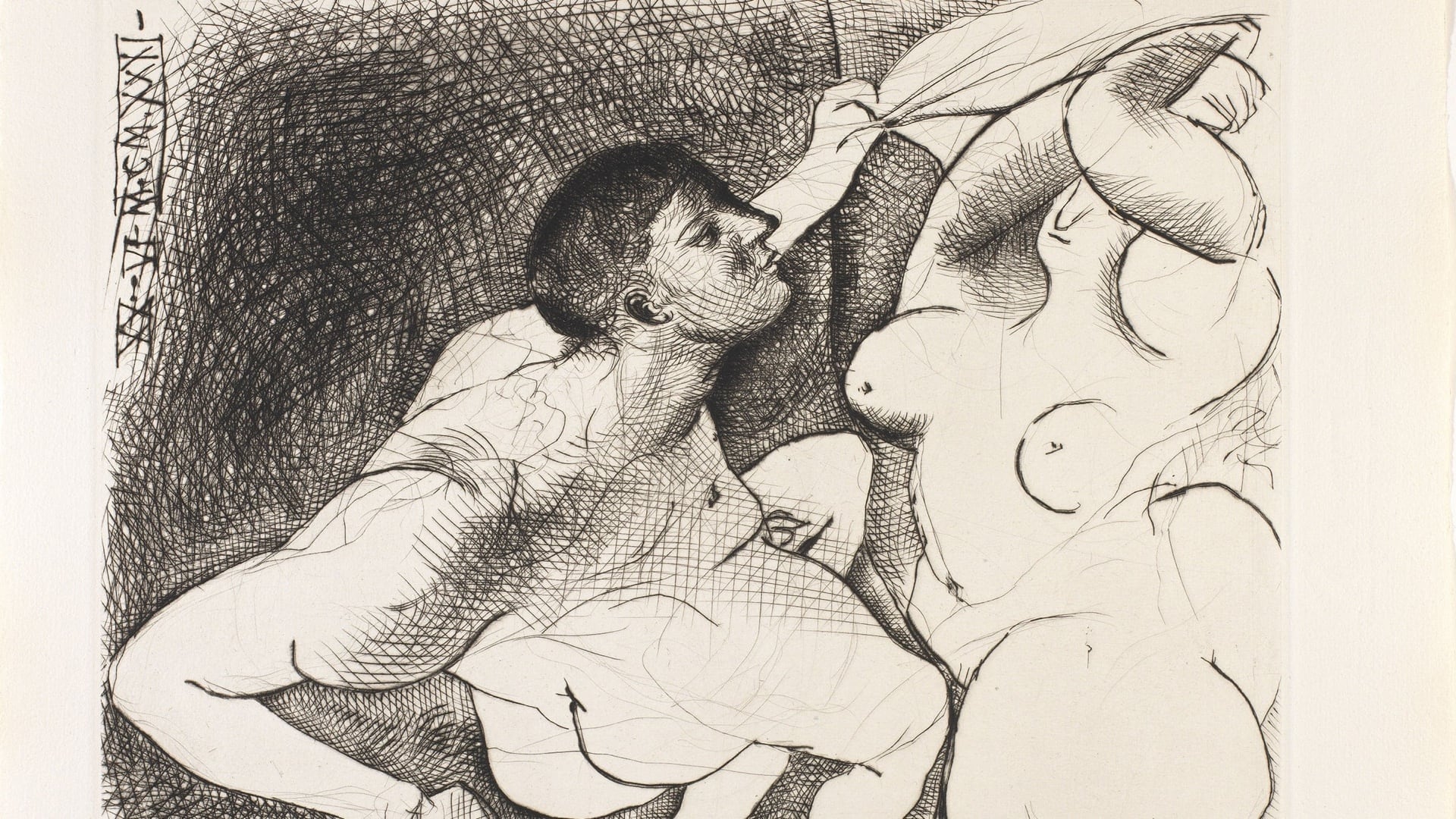 Picasso görsel 4