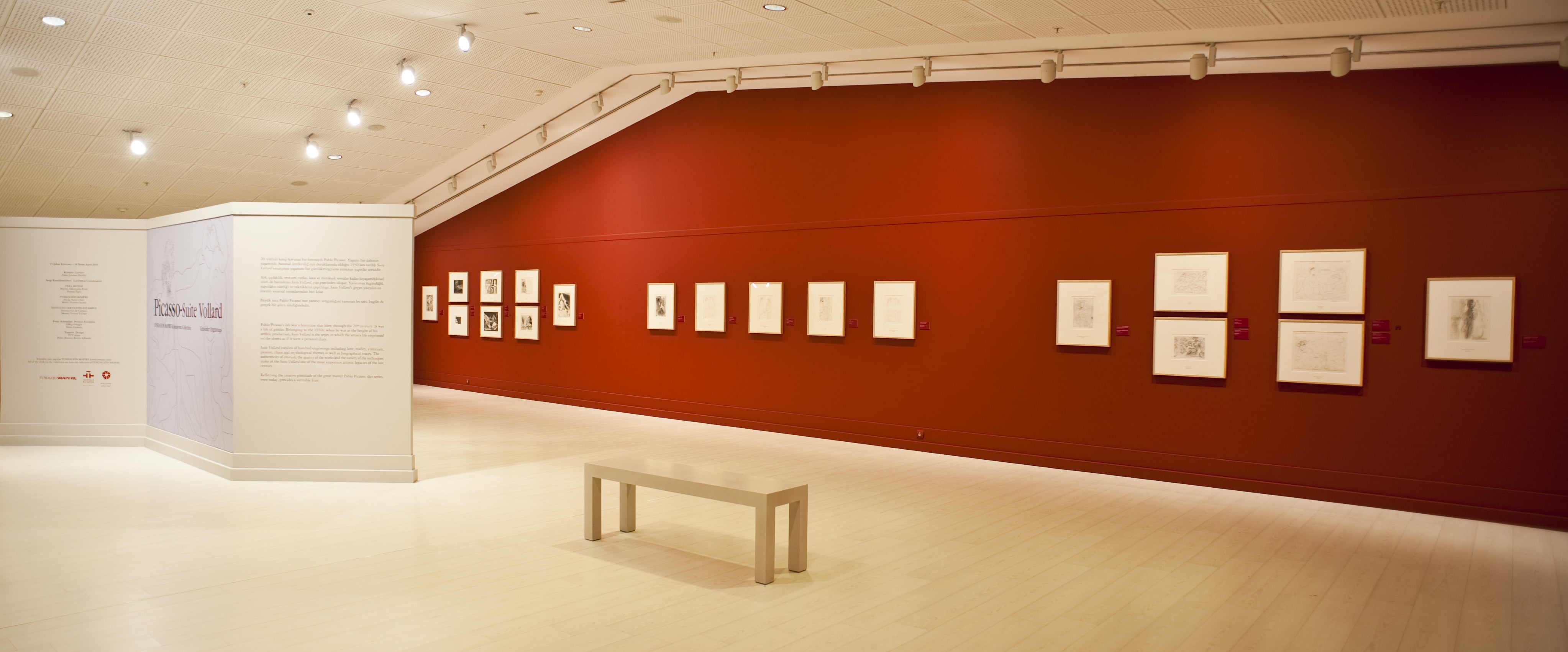 Picasso galeri 1