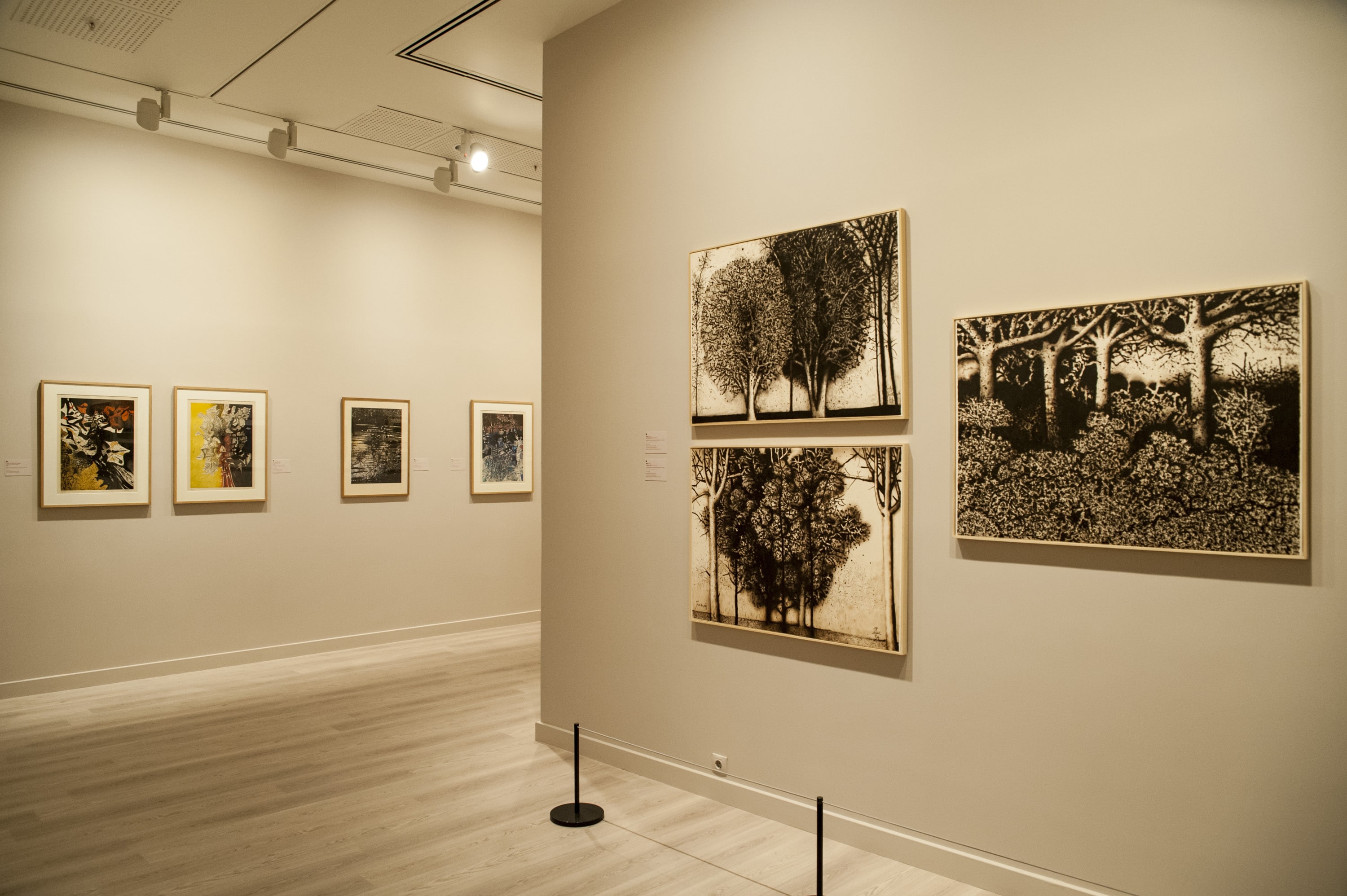 Mario Prassinos galeri 6