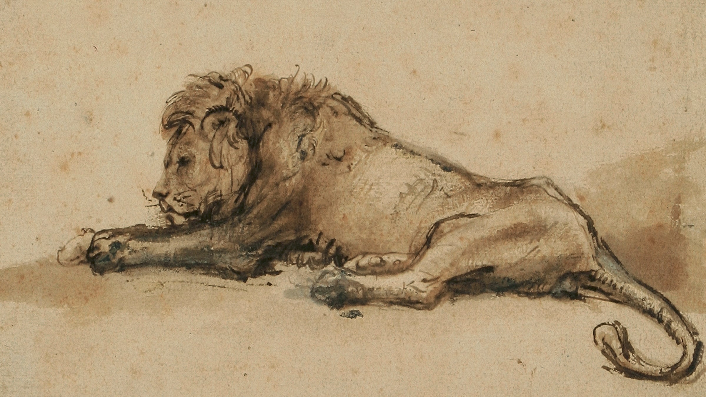 Rembrandt ve Çevresi / DESENLER görsel 3
