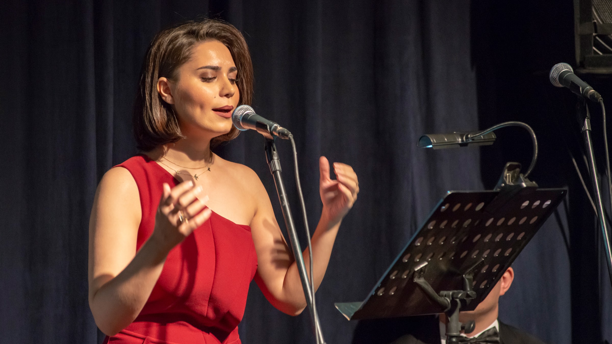 Türk Müziği Konserleri <br> "Şairlerimiz ve Bestelenen Şiirleri 1" slide 1