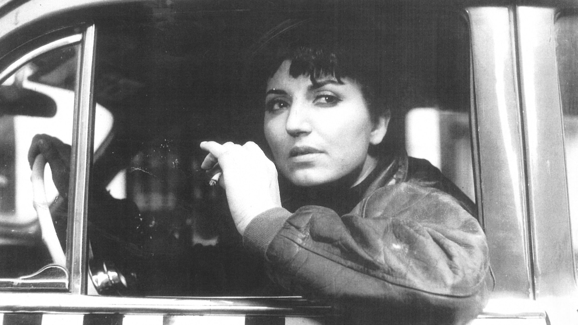 Cinemania <br> 37. İstanbul Film Festivali3
