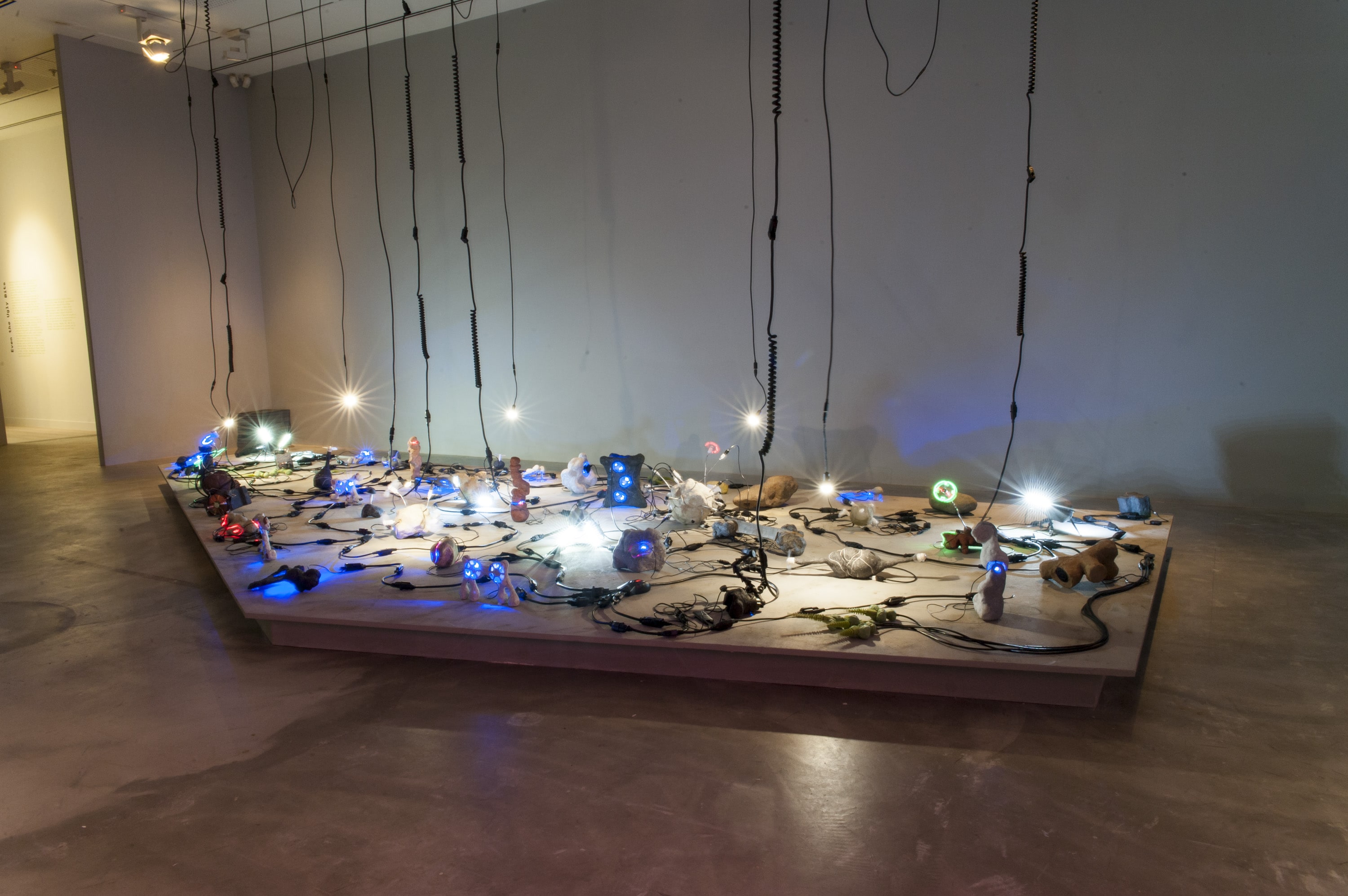 Katherine Behar: Veri Girişi galeri 0