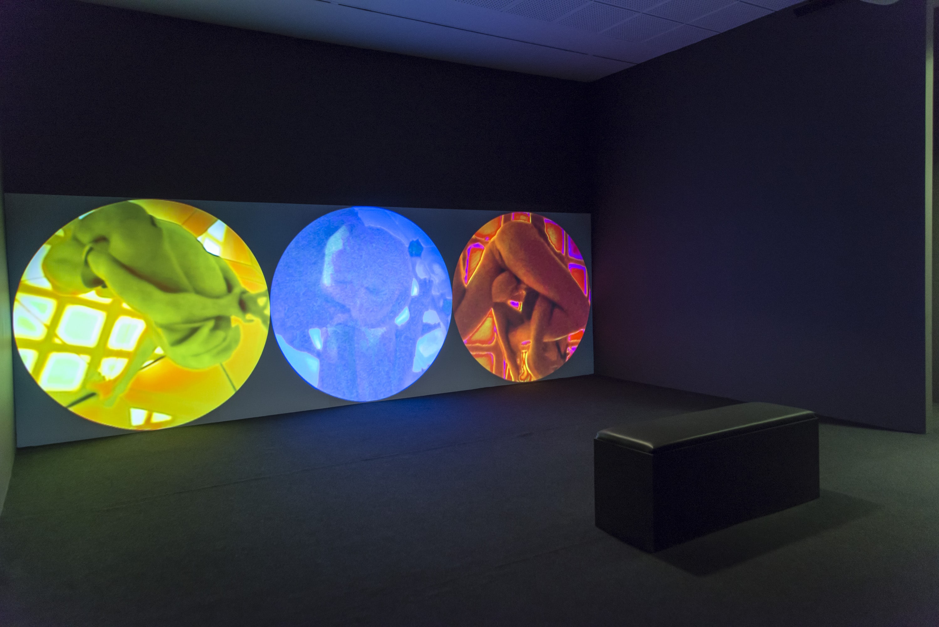Katherine Behar: Veri Girişi galeri 11