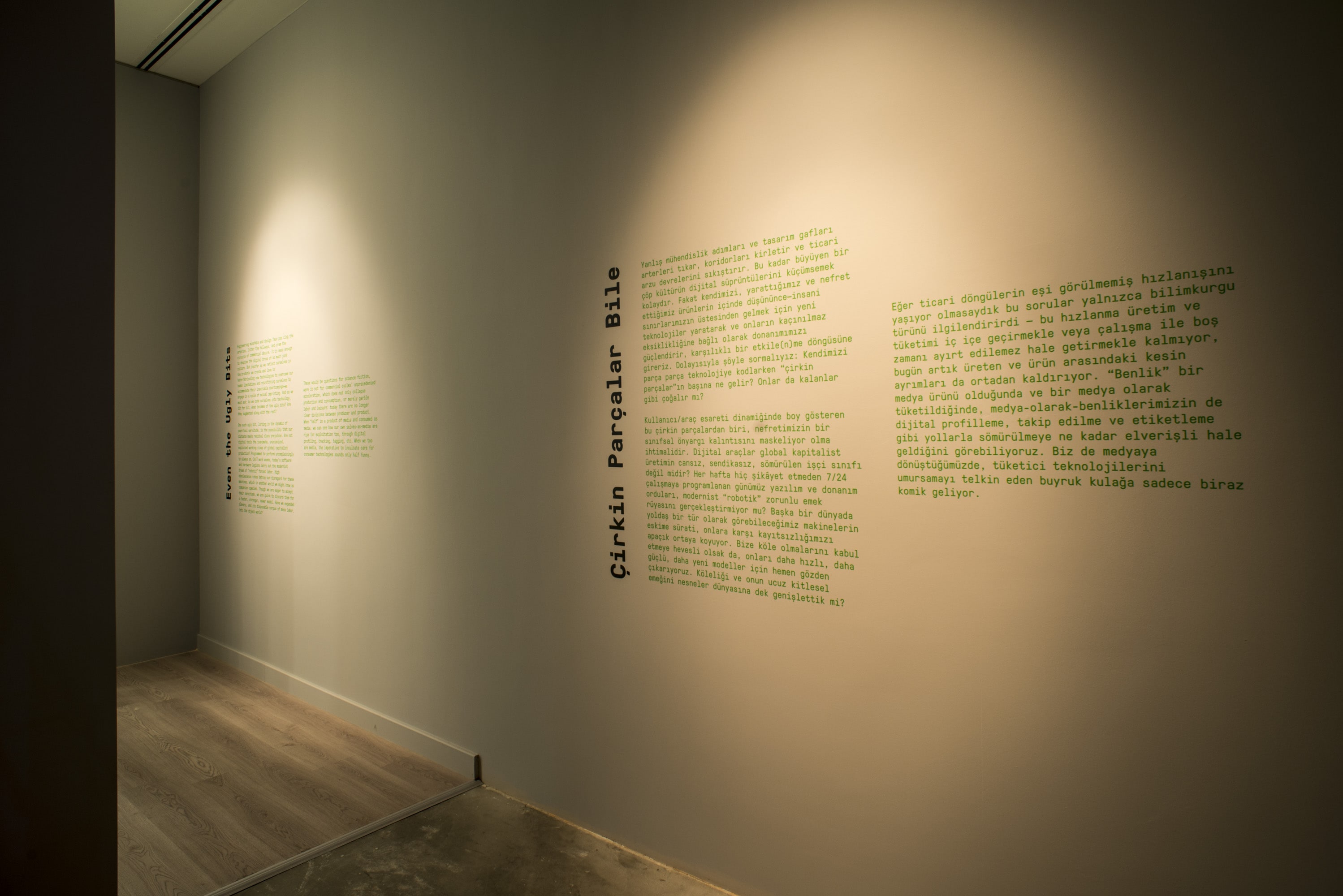 Katherine Behar: Veri Girişi galeri 13