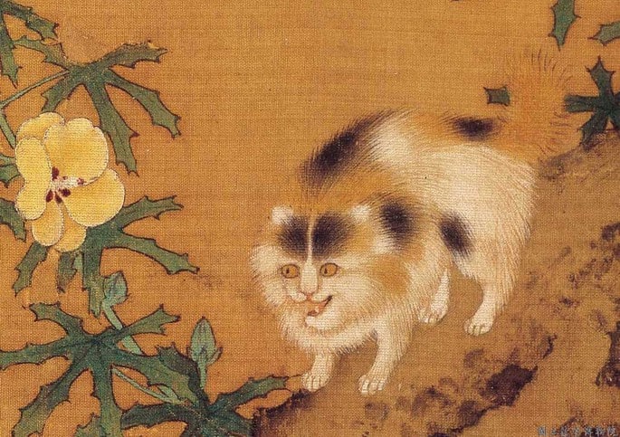 Bir Kedi Dosyası
