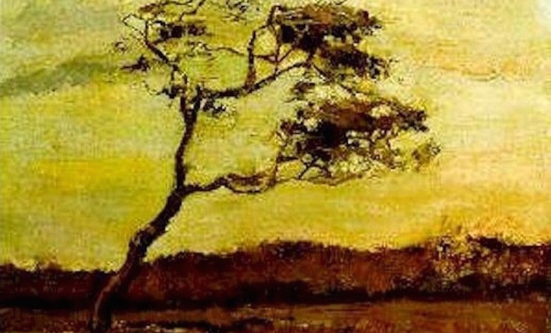 Rüzgârın Başrolde Olduğu Dokuz İlham Verici Sanat Eseri