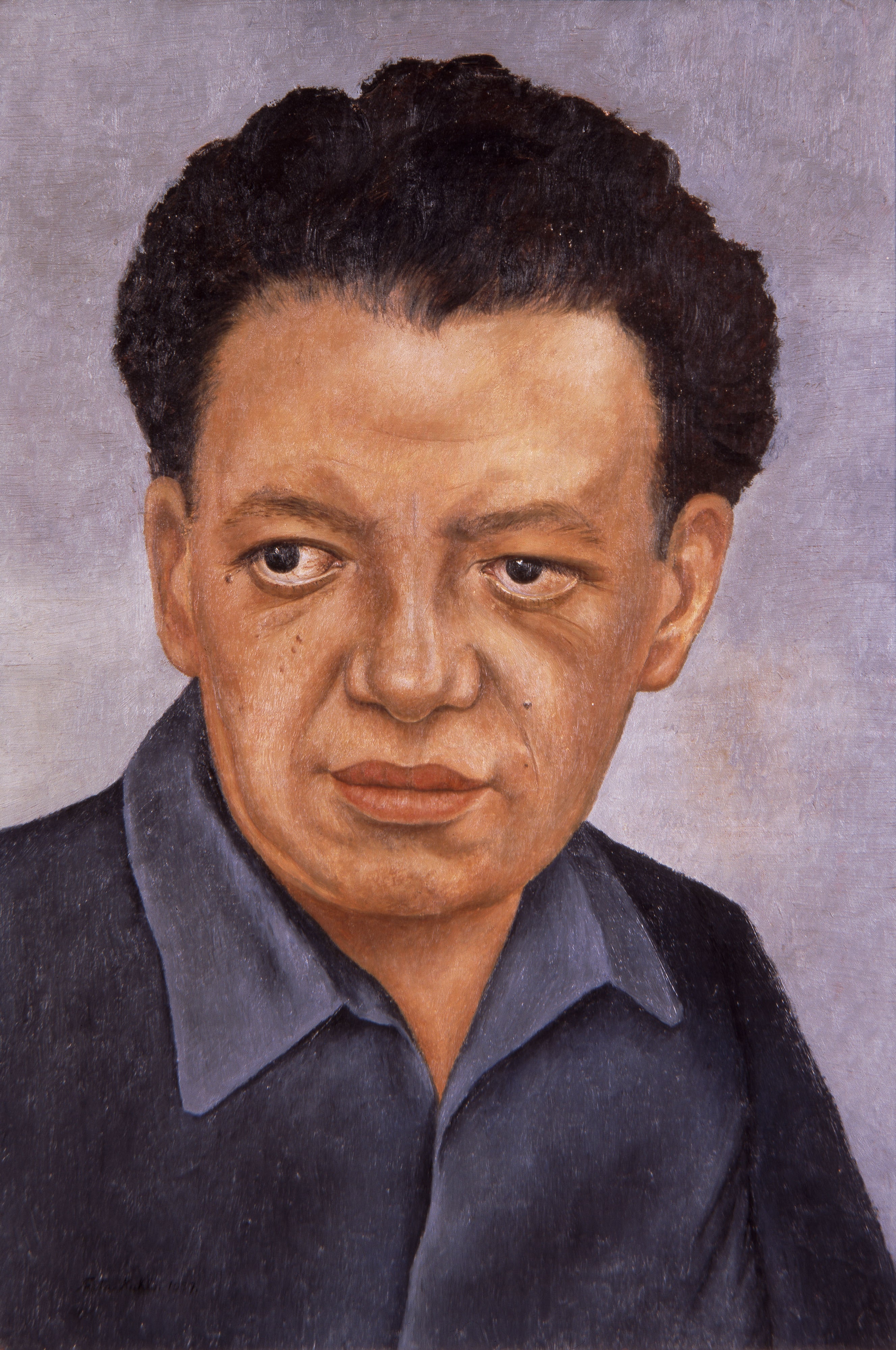 gelman koleksiyonu