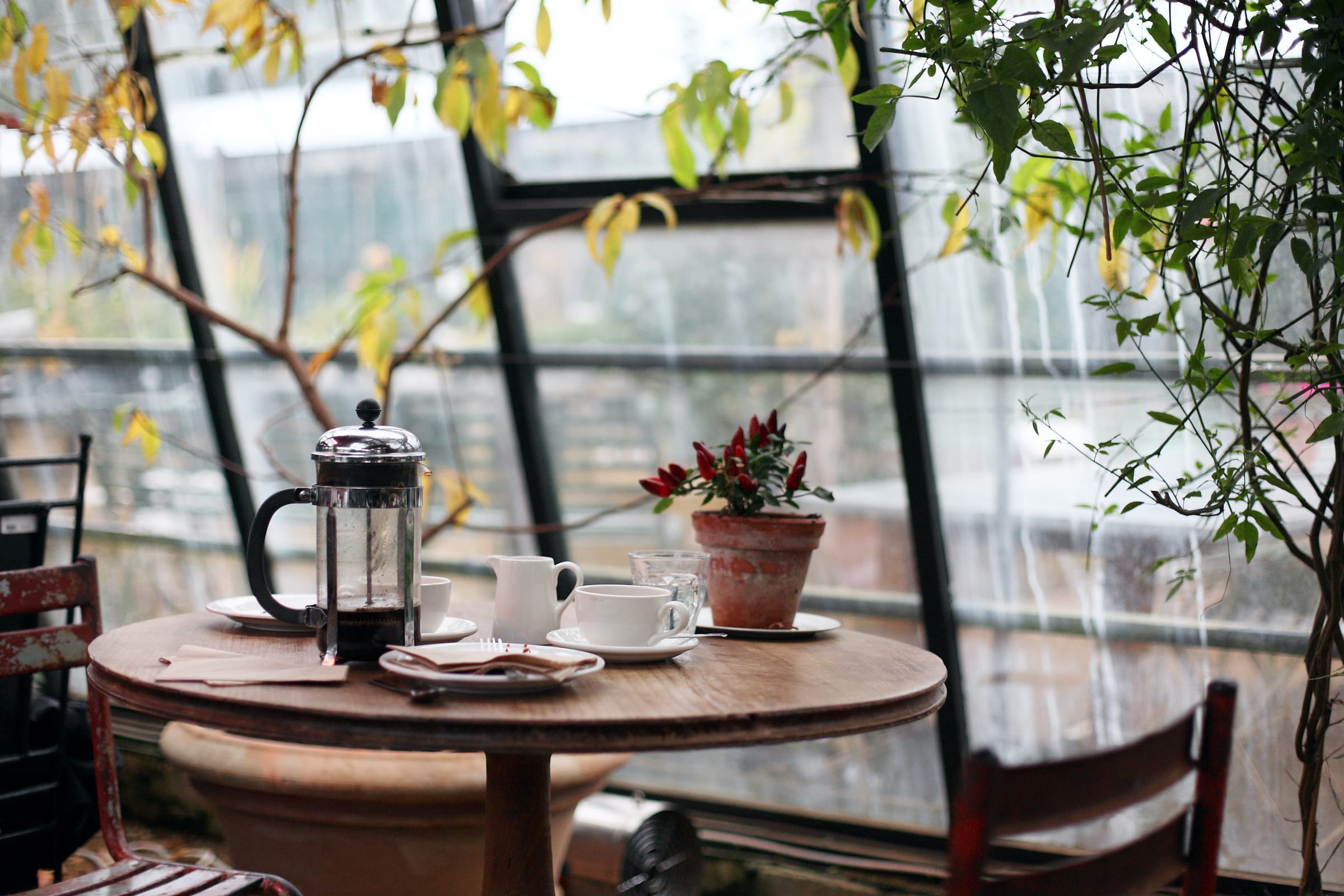kahve blogları