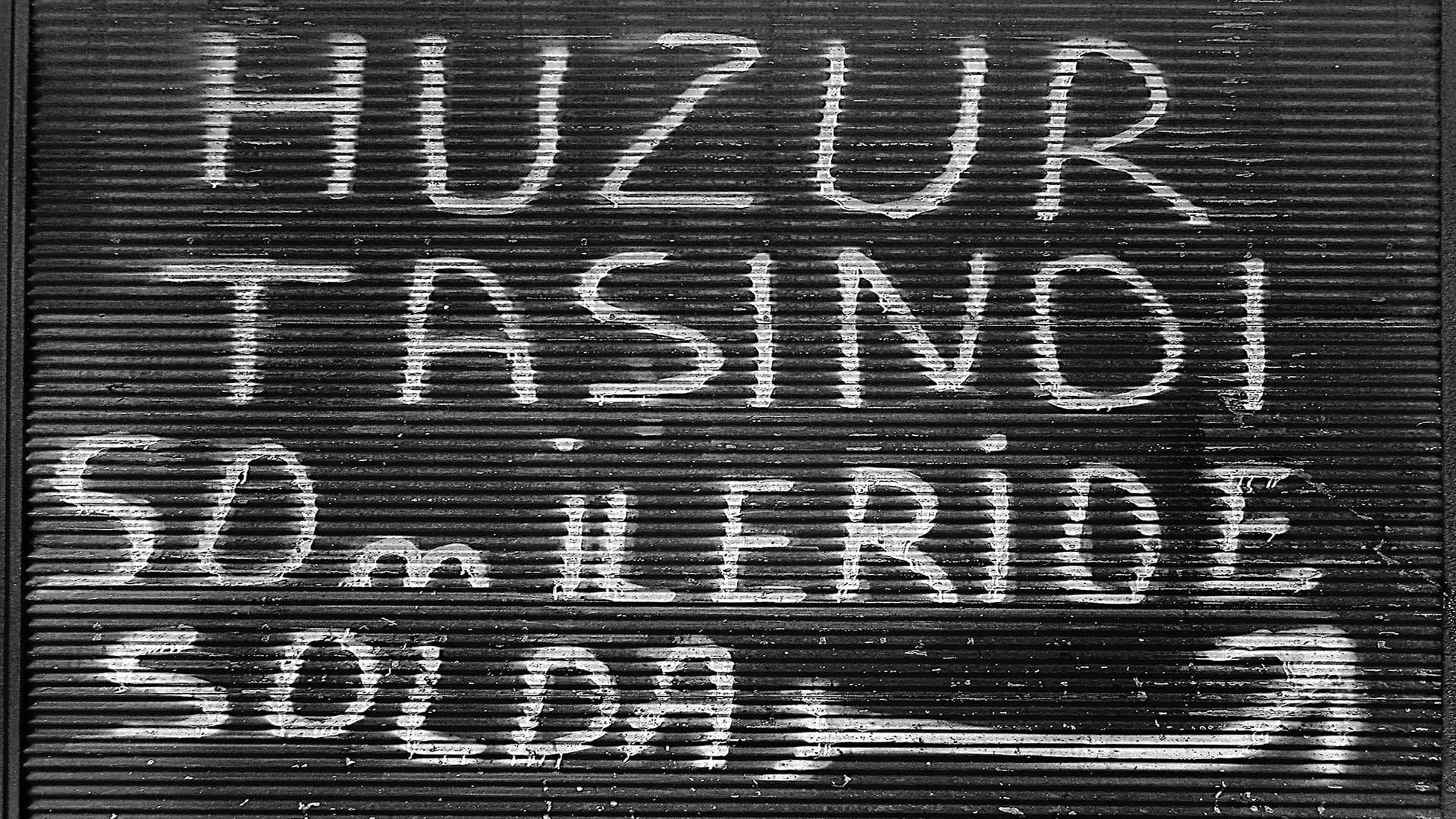 baykuşun kareleri